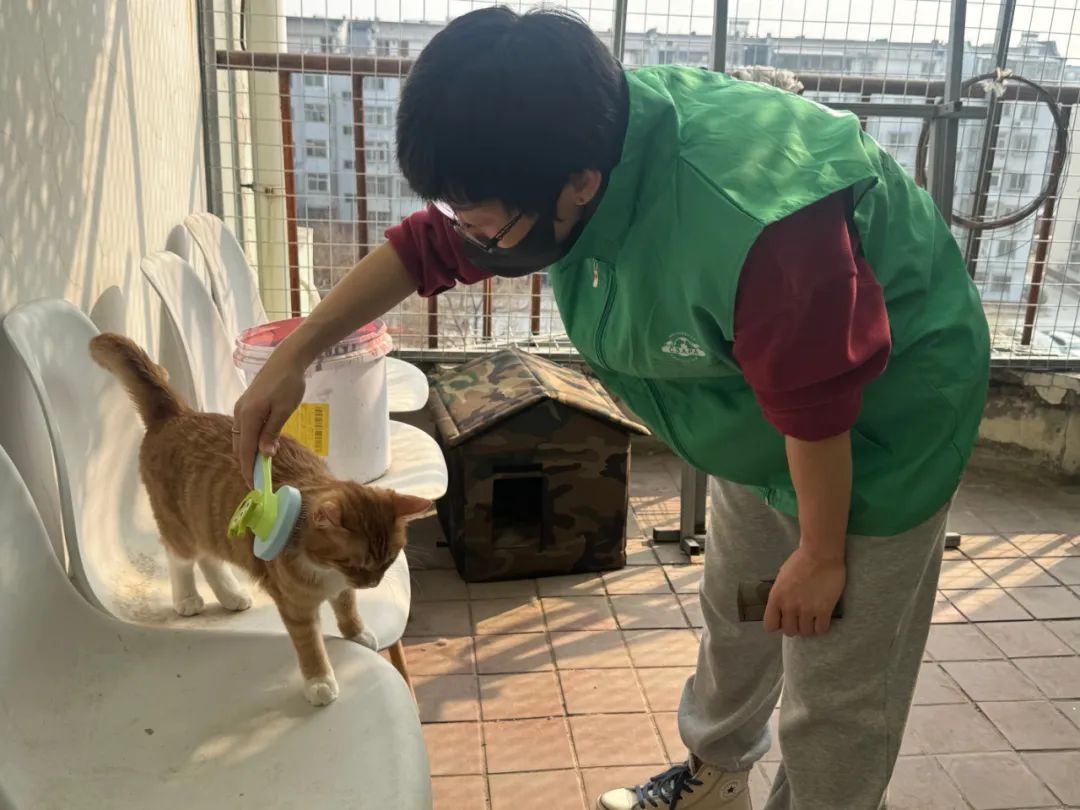 动物3.jpg