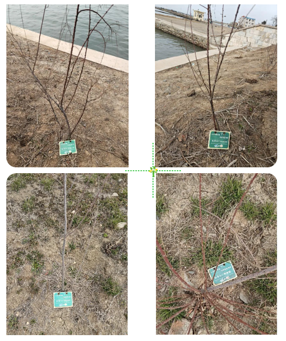 微信图片_20250219162647.png